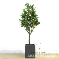 uploads/erp/collection/images/Home Garden/dgjiawang/XU0612825/img_b/XU0612825_img_b_2